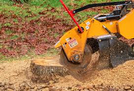 Best Weed Control  in Green Hill, TN