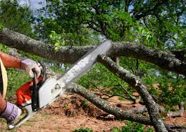 Best Lawn Pest Prevention  in Green Hill, TN
